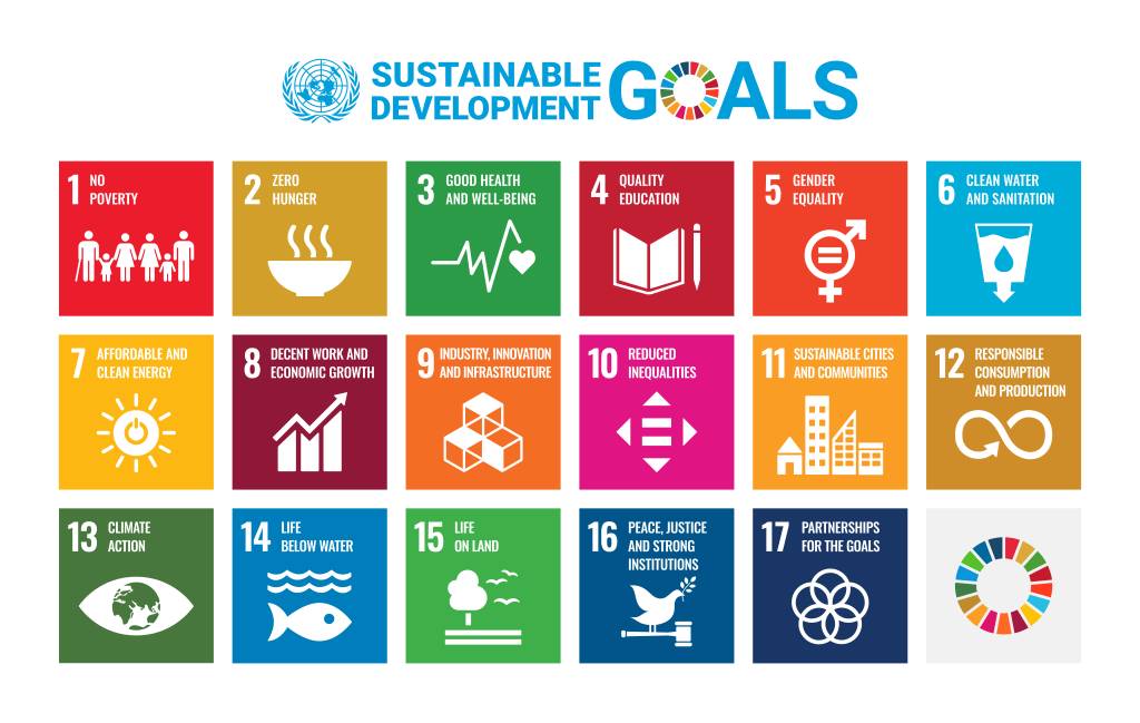 The 17 Sustainable Development Goals